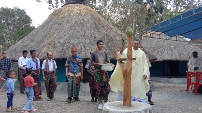 Daun penggemuk ayam di Insana Utara, Timor Tengah Utara