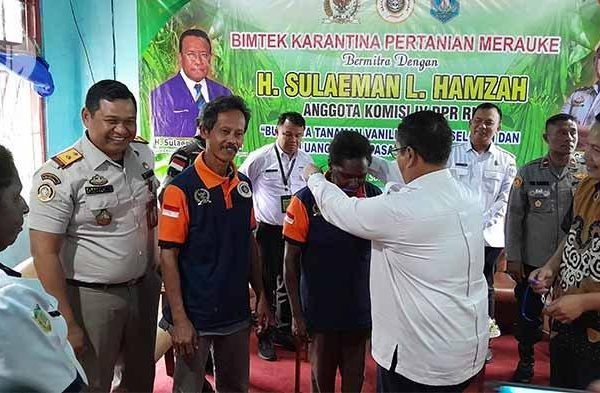 Daun penggemuk ayam di Sota, Kab. Merauke