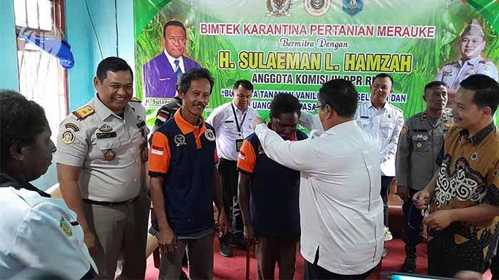 Daun penggemuk ayam di Sota, Kab. Merauke