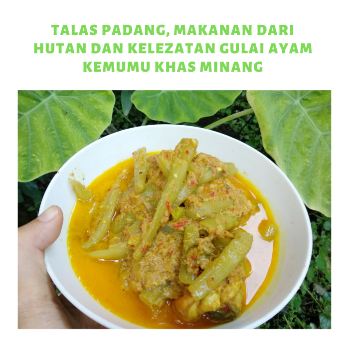 Daun penggemuk ayam di Saluputi, Tana Toraja