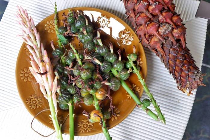 Daun penggemuk ayam di Suli, Luwu