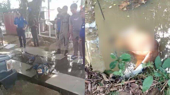 Daun penggemuk ayam di Rarowatu Utara, Bombana