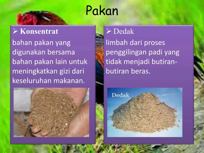 Identitas Pembunuh IRT Warga Tulang Bawang Terungkap, Ditangkap di ... Identitas Pembunuh IRT Warga Tulang Bawang Terungkap, Ditangkap di ...