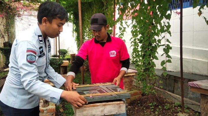 WBP Lapas Gunung Sugih Hasilkan Uang dari Budidaya Lebah Madu Klanceng ... WBP Lapas Gunung Sugih Hasilkan Uang dari Budidaya Lebah Madu Klanceng ...