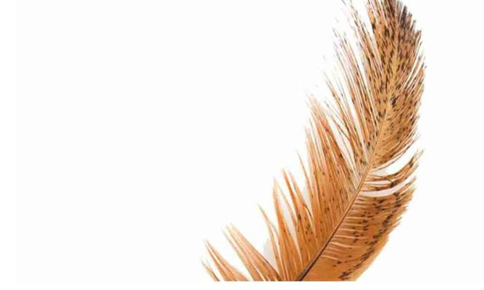 Daun penggemuk ayam di Ujung Bulu, Bulukumba