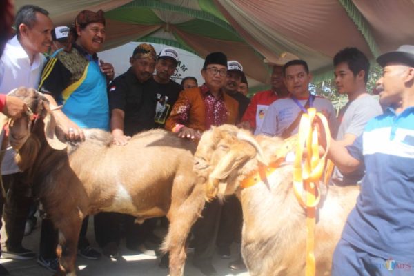 Daging kambing di Kandat, Kediri