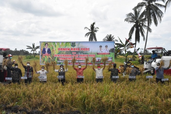 Jenis-Jenis Tumbuhan Paku di Desa Bandar Raya Kecamatan Tamban Catur ... Daun penggemuk ayam di Tamban Catur, Kapuas