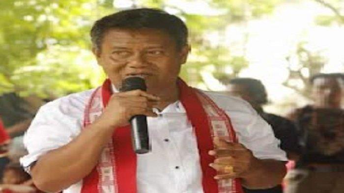 Daun penggemuk ayam di Kota Tambolaka, Sumba Barat Daya