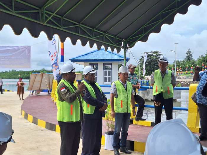 Jamu Gemuk Badan Cap Akar Daun 600ml Original 100% | Lazada Indonesia Daun penggemuk ayam di Sumuri, Kab. Teluk Bintuni