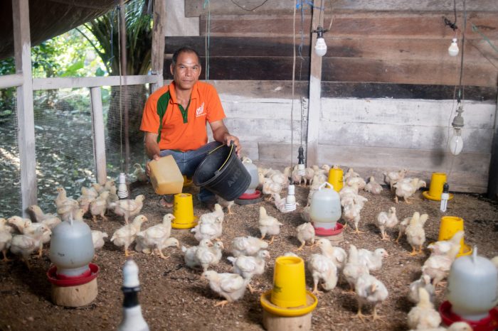 Transformasi Ekonomi Masyarakat Bersama Bumitama - Kantor Berita Sawit