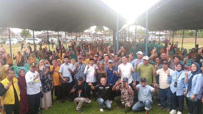Daun penggemuk ayam di Bambaira, Pasangkayu