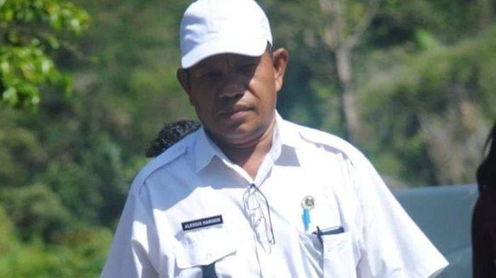 13 Orang Terinfeksi DBD, Camat Rahong Utara Manggarai Minta Masyarakat ... Daun penggemuk ayam di Rohong Utara, Manggarai