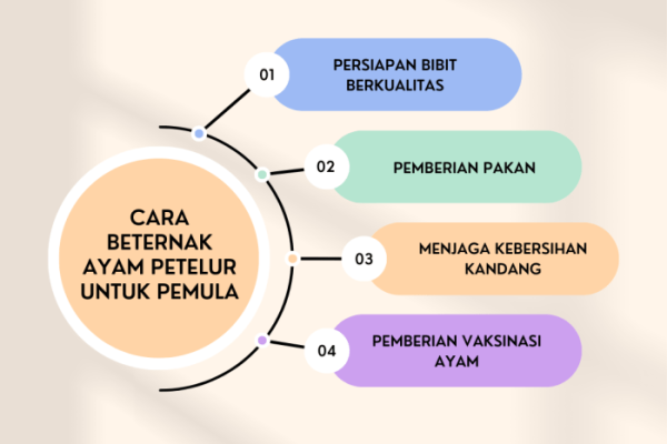 Ringkasan Cara Beternak Ayam Petelur untuk Pemula - HOBI TERNAK