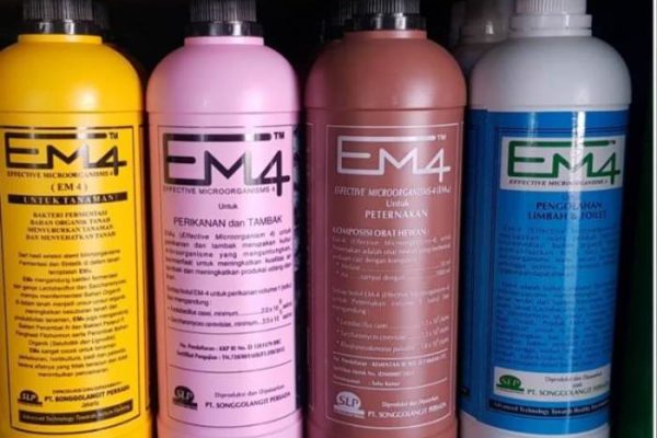 Em4 peternakan ayam di Lirik, Indragiri Hulu