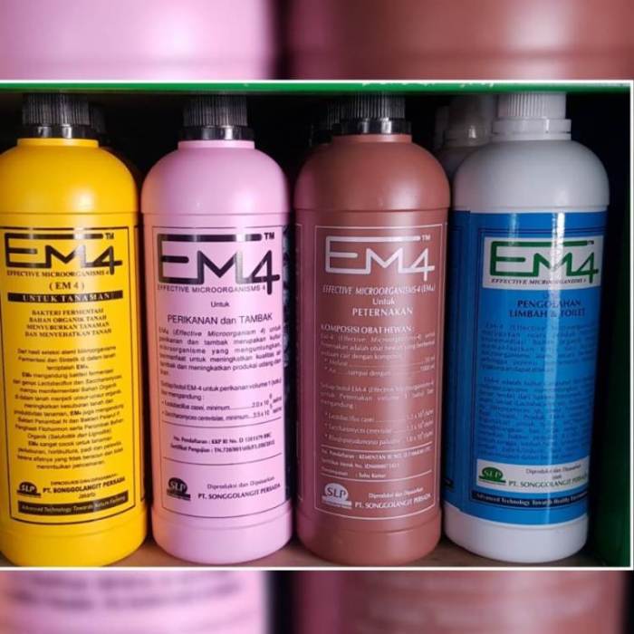 Em4 peternakan ayam di Gunung Sahilan, Kampar