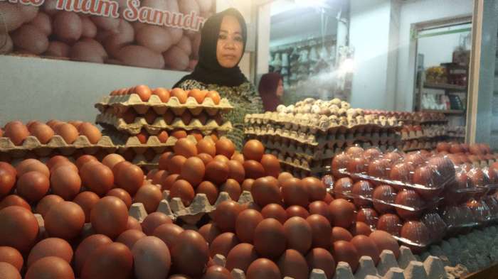 Harga Telur Ayam di Bontang Tembus 68 Per Piring, Pedagang; Tertinggi 5 ...