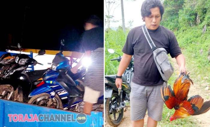 Grebek Sabung Ayam di Sangalla Selatan, Polisi Amankan 10 Kendaran dan ... Grebek Sabung Ayam di Sangalla Selatan, Polisi Amankan 10 Kendaran dan ...