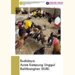 Profil Nagari sungai Pagu, kab. Solok Selatan | Tugas Mata Kuliah Islam ...