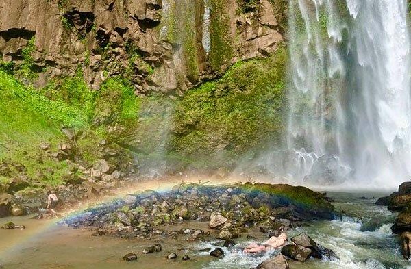 Budidaya ayam di Pagar Dewa, Lampung Barat