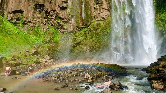 Cara Budidaya Ayam Kampung dengan Modal Murah - Kerjadimedan Budidaya ayam di Pagar Dewa, Lampung Barat