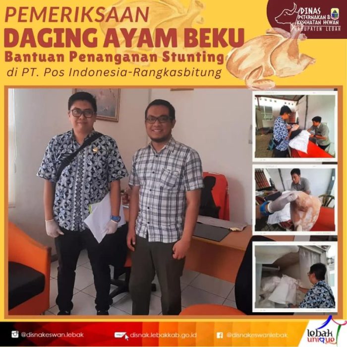 PEMERIKSAAN DAGING AYAM BEKU BANTUAN PENANGANAN STUNTING DI PT.POS ... Daun penggemuk ayam di Rangkasbitung, Kab. Lebak