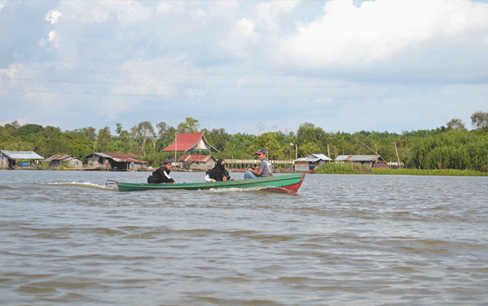 Disporaparbud Seruyan, Gali Potensi PAD dari Obyek Wisata Danau Seluluk ... Daun penggemuk ayam di Danau Sembuluh, Seruyan