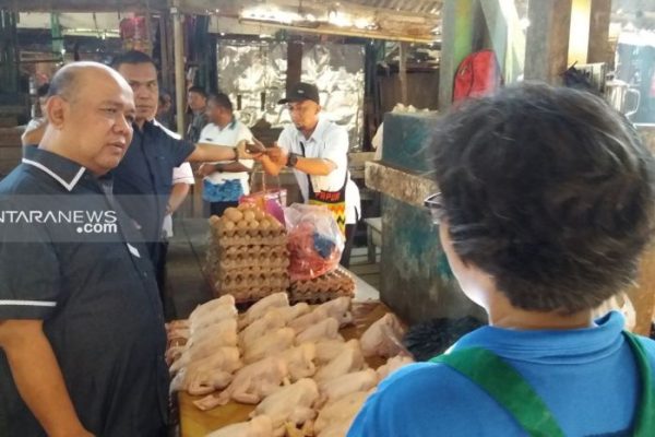 Daun penggemuk ayam di Aimas, Kab. Sorong