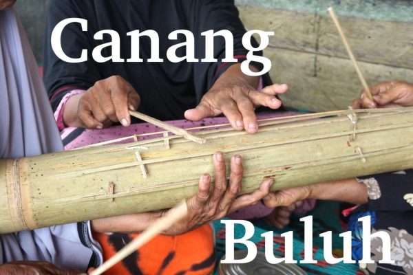 Bulu kelinci di Landawe, Konawe Utara