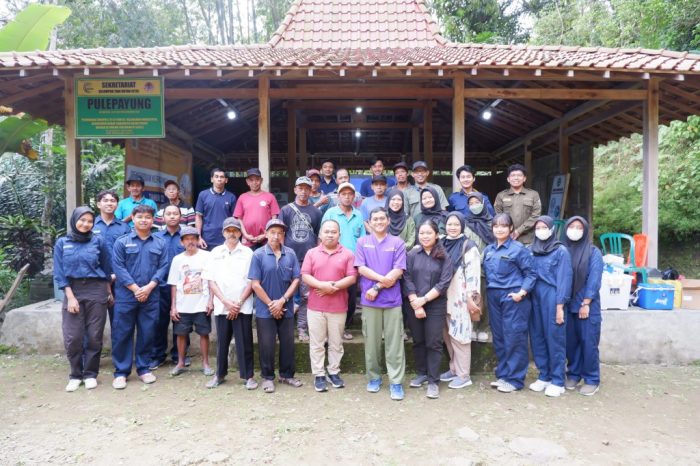 Ayam ternak di Kokap, Kulon Progo
