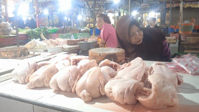 Cara Ternak Ayam Kampung Petelur, Harga, dan Tipe Kandang - Beternak Ayam Cara Ternak Ayam Kampung Petelur, Harga, dan Tipe Kandang - Beternak Ayam