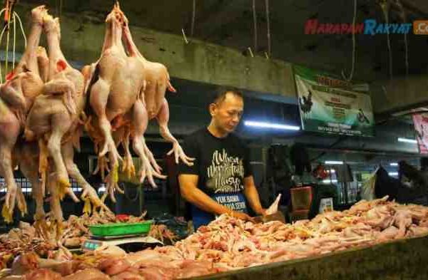 Harga ayam kampung potong di Solokan jeruk, Bandung