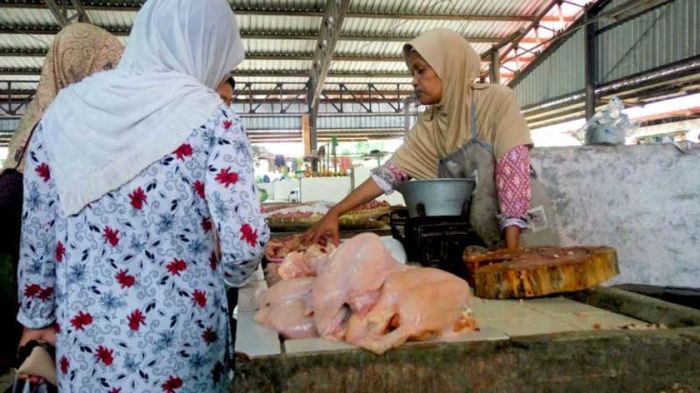 Ayam ternak di Purbalingga, Kab. Purbalingga