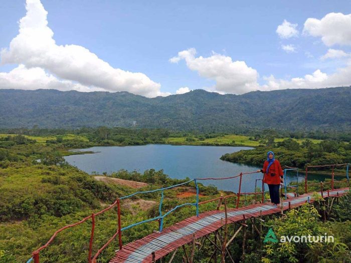 TEKNIK BUDIDAYA AYAM KAMPUNG TEKNIK BUDIDAYA AYAM KAMPUNG