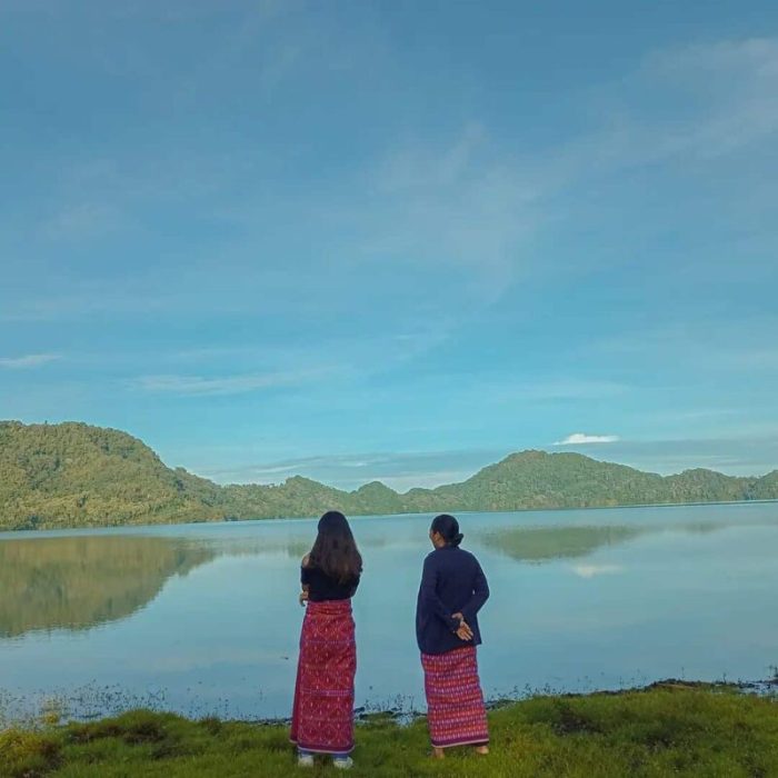 Daun penggemuk ayam di Sano Nggoang, Manggarai Barat