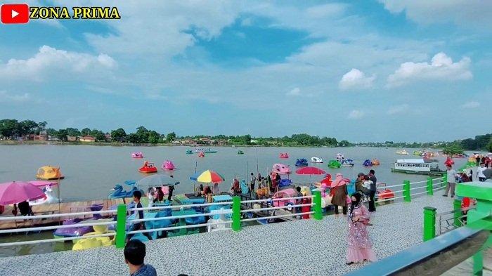 Ayam layer di Danau Sipin, Kota Jambi