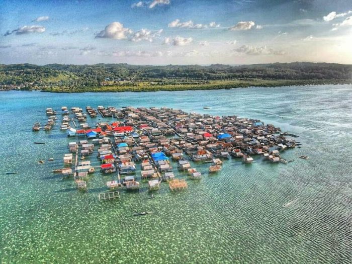 Daun penggemuk ayam di Wangi-Wangi, Wakatobi