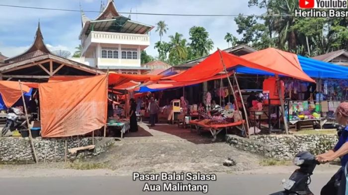 Ayam ternak di IV Koto Aur Malintang, Kabupaten Padang Pariaman