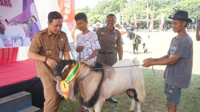 Daging kambing di Pekalongan Barat, Kota Pekalongan