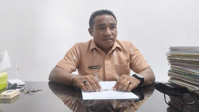 ternak ayam petelur yang sukses Ternak ayam petelur di Rote Barat Daya, Rote Ndao