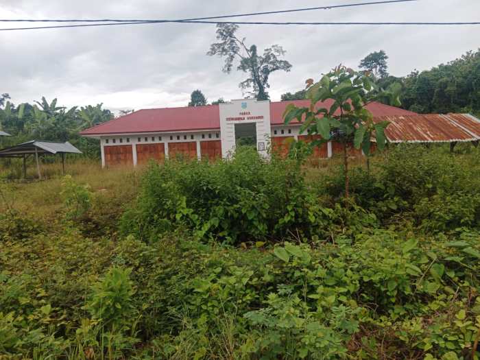Daun penggemuk ayam di Bonegunu, Buton Utara
