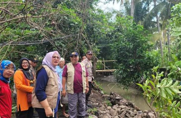Daun penggemuk ayam di Plampang, Sumbawa