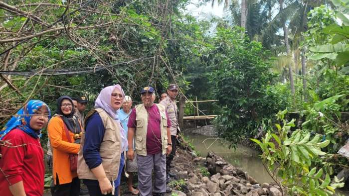 Daun penggemuk ayam di Plampang, Sumbawa
