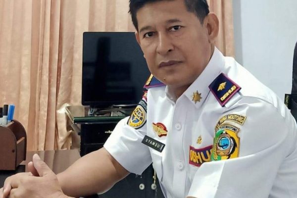 Daun penggemuk ayam di Moutong, Paringi Moutong