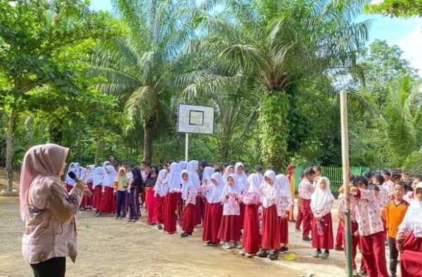 TERNAK AYAM KAMPUNG LEBIH UNTUNG DAN MUDAH SANGAT COCOK BAGI PEMULA ...