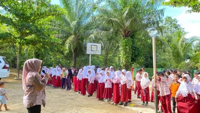 TERNAK AYAM KAMPUNG LEBIH UNTUNG DAN MUDAH SANGAT COCOK BAGI PEMULA ...