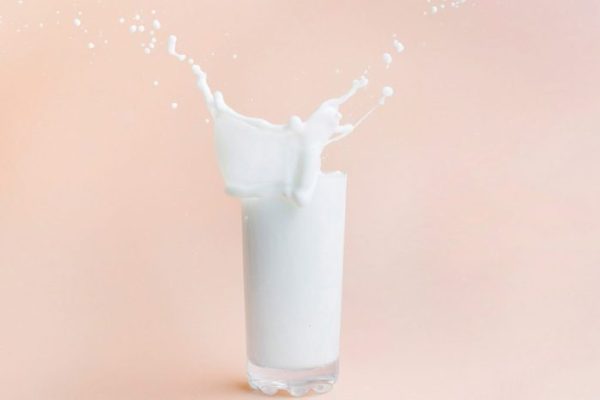 Susu kambing di Arosbaya, Bangkalan