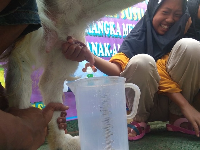 Susu kambing di Larangan, Pamekasan