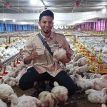 Hubungan Standar Kualitas Air dan Perbaikan Peternakan Ayam | Poultry ...