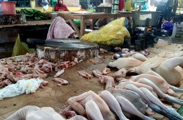 Jelang Ramadhan, harga ayam potong anjlok capai Rp17.000 per kg ...