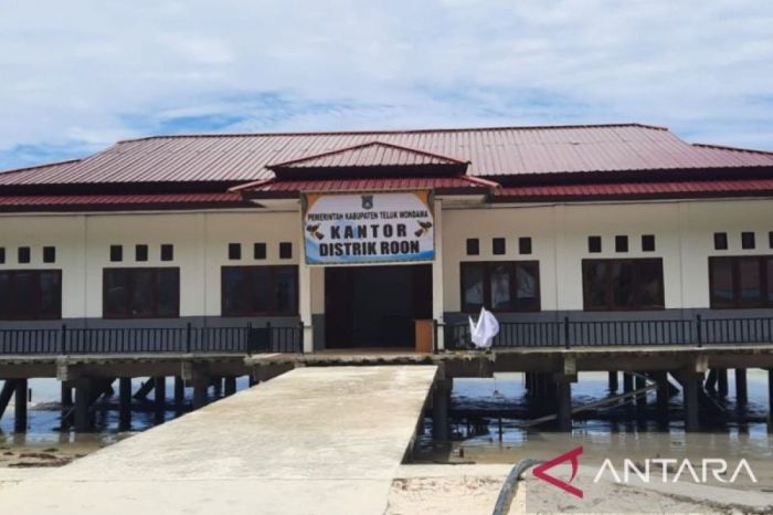 Daun penggemuk ayam di Roon, Kab. Teluk Wondama